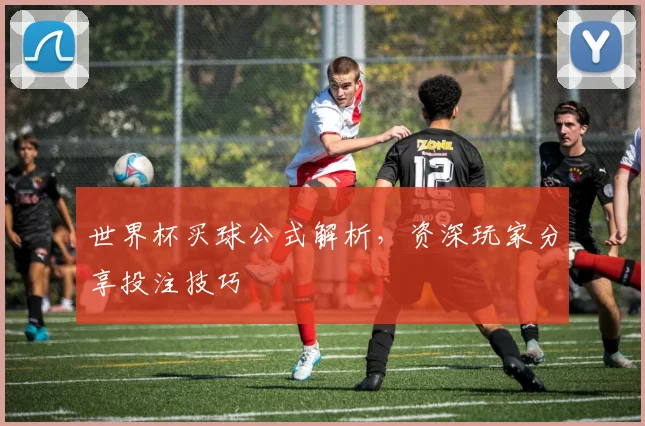 世界杯买球公式解析,资深玩家分享投注技巧