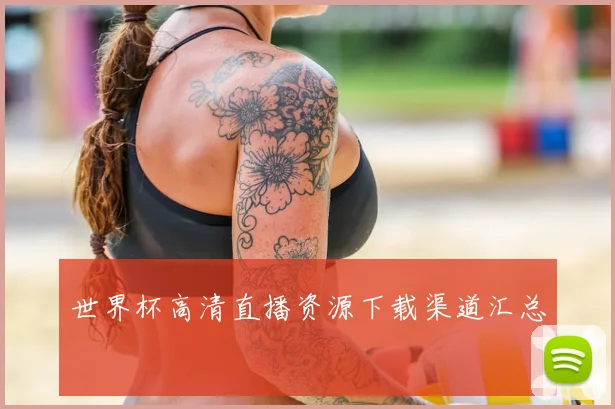 世界杯高清直播资源下载渠道汇总