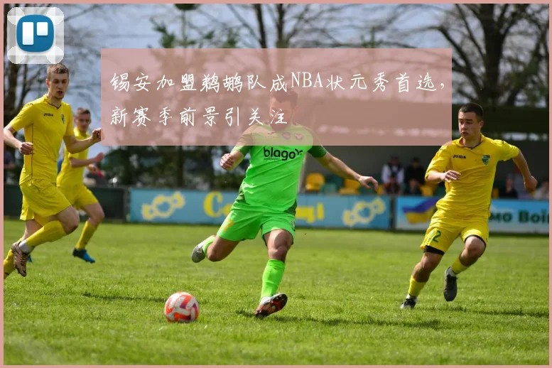 锡安加盟鹈鹕队成NBA状元秀首选,新赛季前景引关注