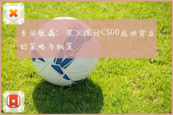 专访张磊:深入探讨CSGO成功背后的策略与秘笈