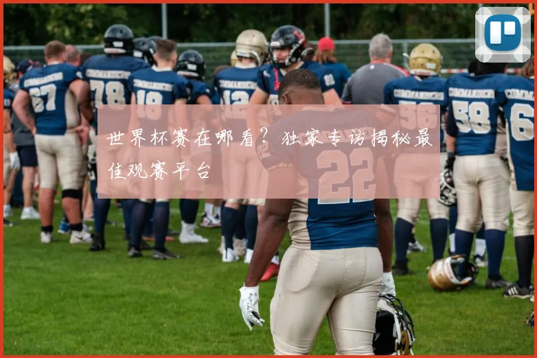 世界杯赛在哪看?独家专访揭秘最佳观赛平台