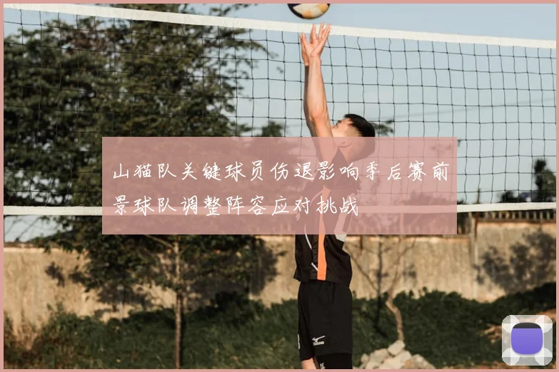 山猫队关键球员伤退影响季后赛前景球队调整阵容应对挑战
