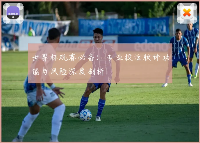 世界杯观赛必备：专业投注软件功能与风险深度剖析