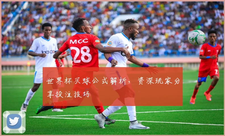 世界杯买球公式解析，资深玩家分享投注技巧