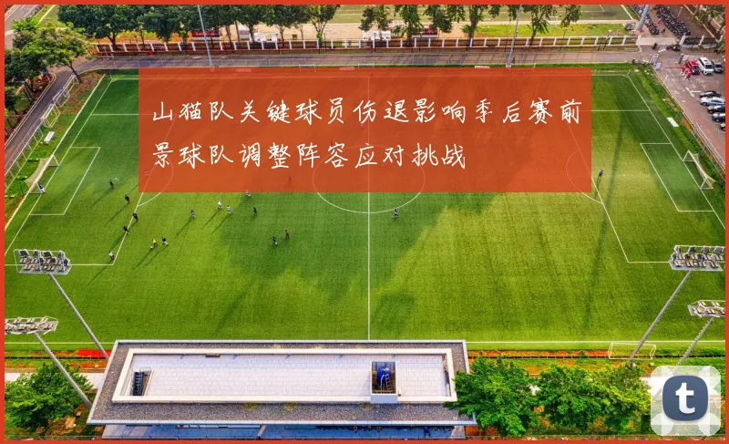 山猫队关键球员伤退影响季后赛前景球队调整阵容应对挑战