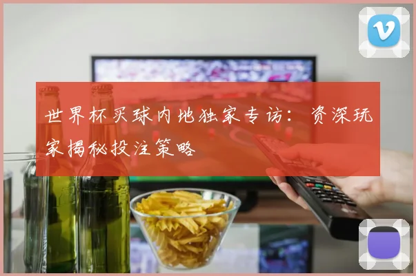世界杯买球内地独家专访:资深玩家揭秘投注策略