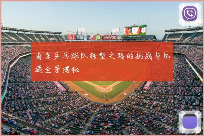 南京乒乓球队转型之路的挑战与机遇全景揭秘
