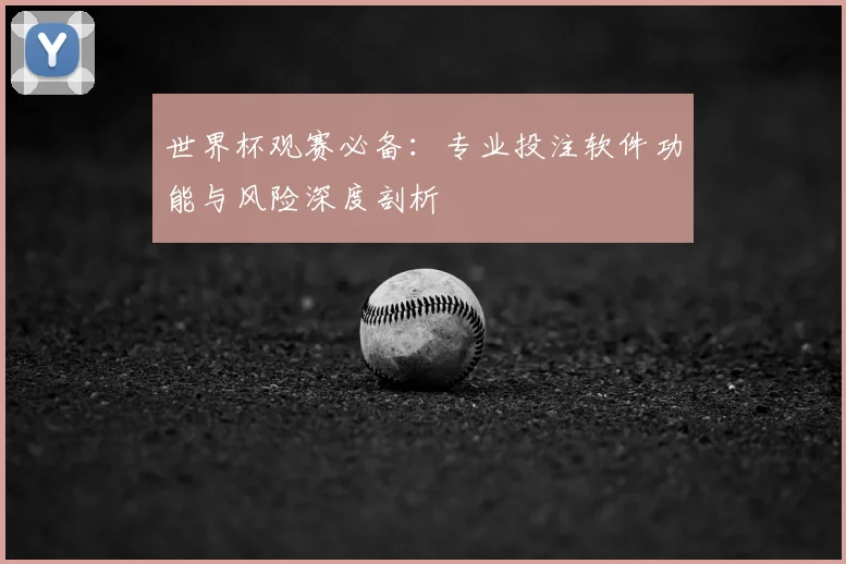 世界杯观赛必备：专业投注软件功能与风险深度剖析