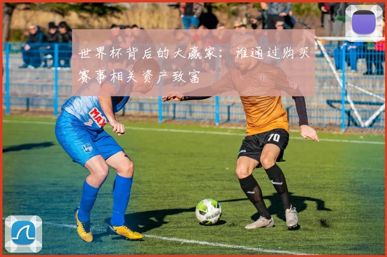 世界杯背后的大赢家:谁通过购买赛事相关资产致富