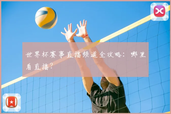 世界杯赛事直播频道全攻略:哪里看直播?
