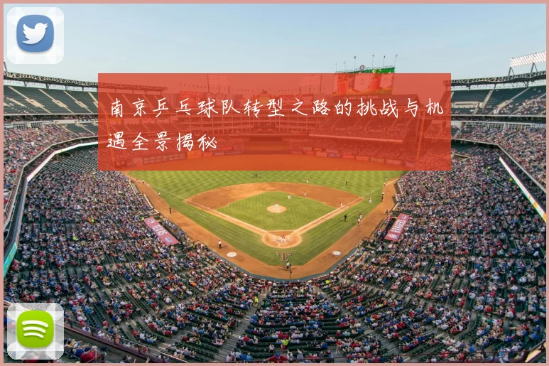 南京乒乓球队转型之路的挑战与机遇全景揭秘