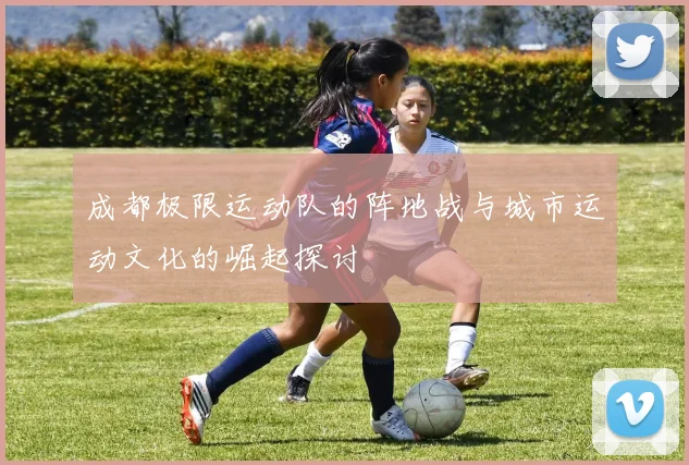 成都极限运动队的阵地战与城市运动文化的崛起探讨