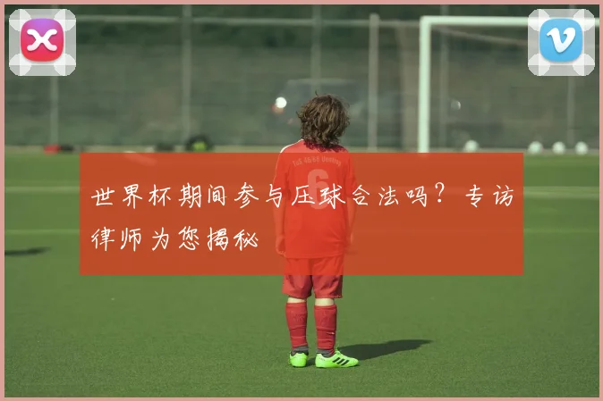 世界杯期间参与压球合法吗？专访律师为您揭秘