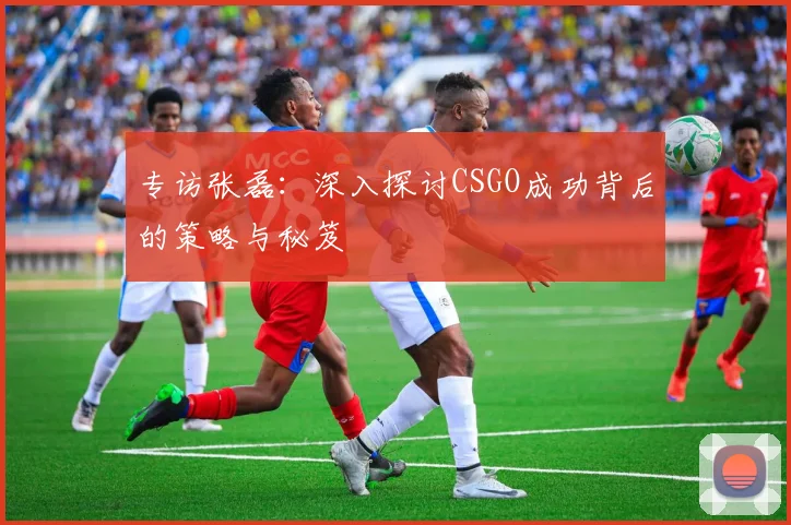 专访张磊:深入探讨CSGO成功背后的策略与秘笈