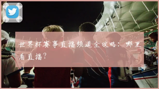 世界杯赛事直播频道全攻略:哪里看直播?