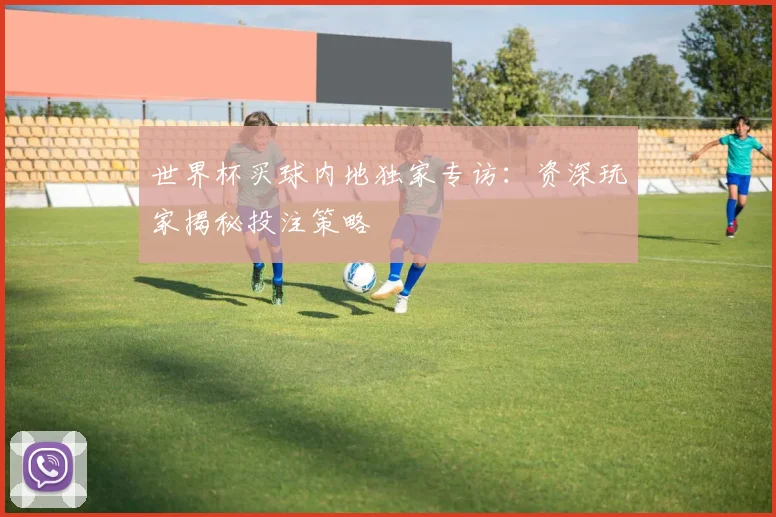 世界杯买球内地独家专访：资深玩家揭秘投注策略